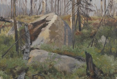 Dead Forest in Canada by Richard Friese